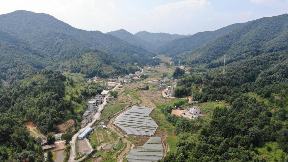 康禾曲龙村 河源市市级文明村/革命传统红色教育基地