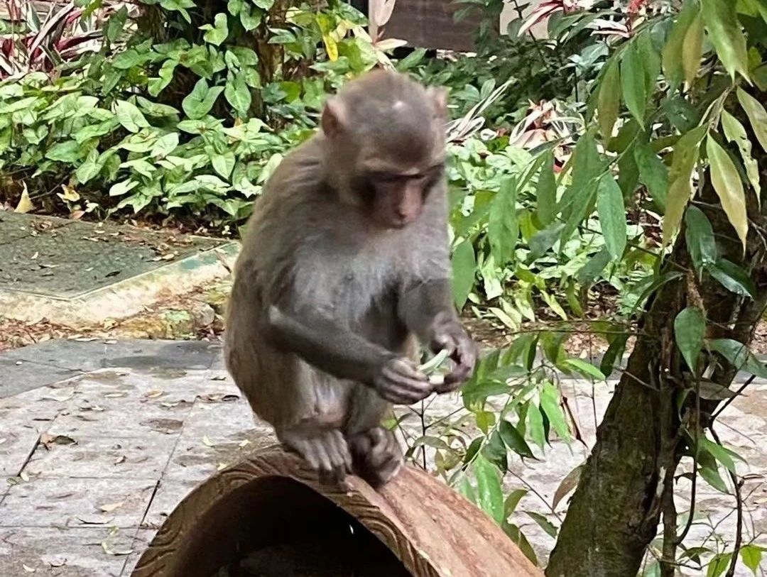 微信图片_20210329085355.jpg