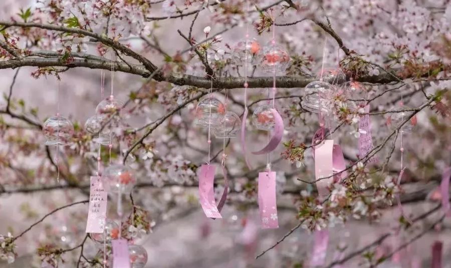 日式樱花木质风铃,清新唯美;中式民族风铃,精致雅美.