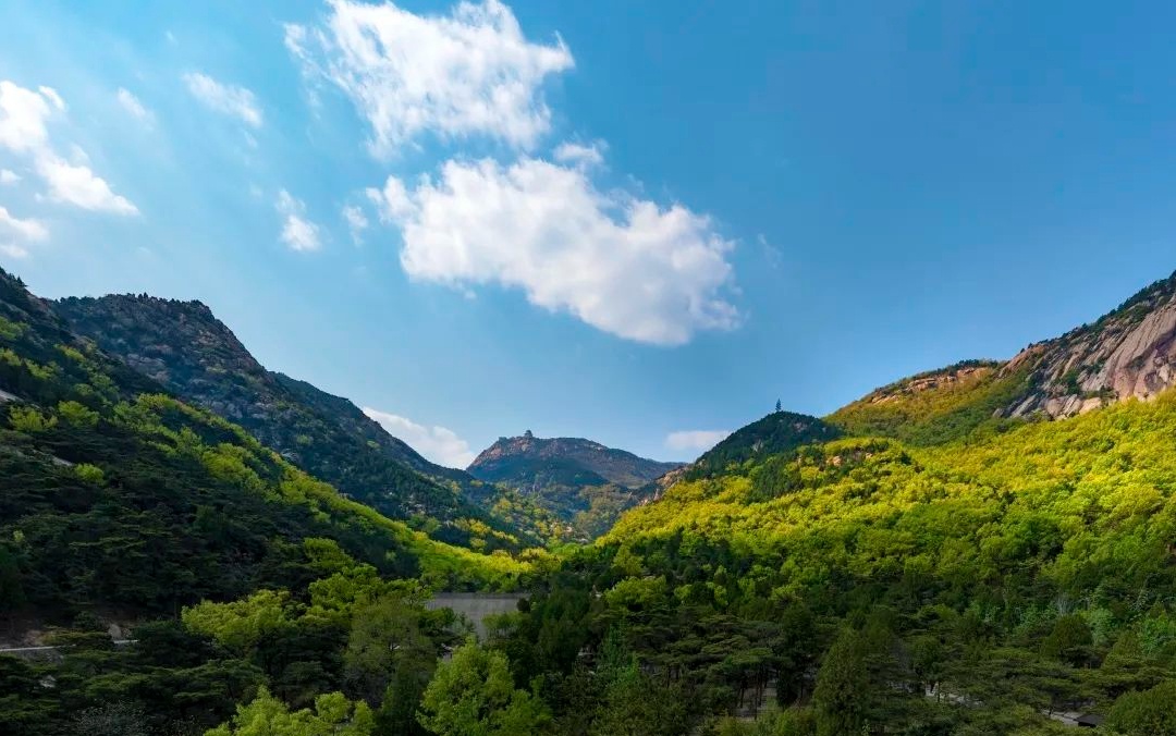 519旅游日遇到520表白日,泰安新泰新甫山"码"上相亲免费游,29.