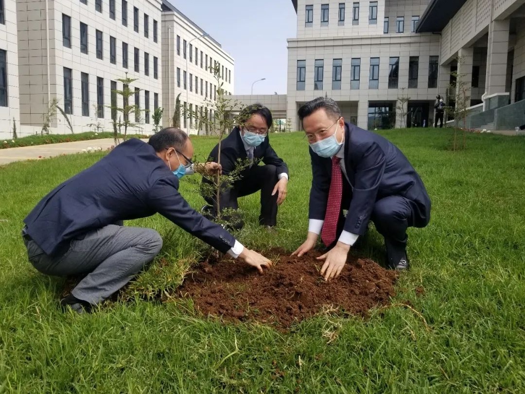 管理团队 国际工程咨询管理中心:申涛,齐小丹,宋启安,陈正红,何夏龙