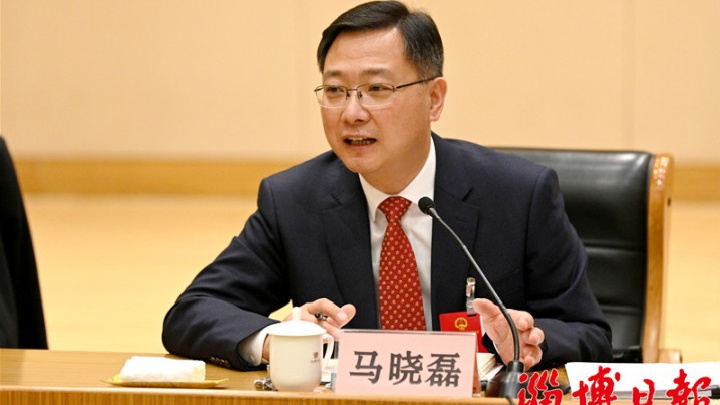 马晓磊参加淄博市十五届人大六次会议张店代表团审议