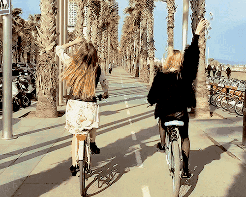 5.gif