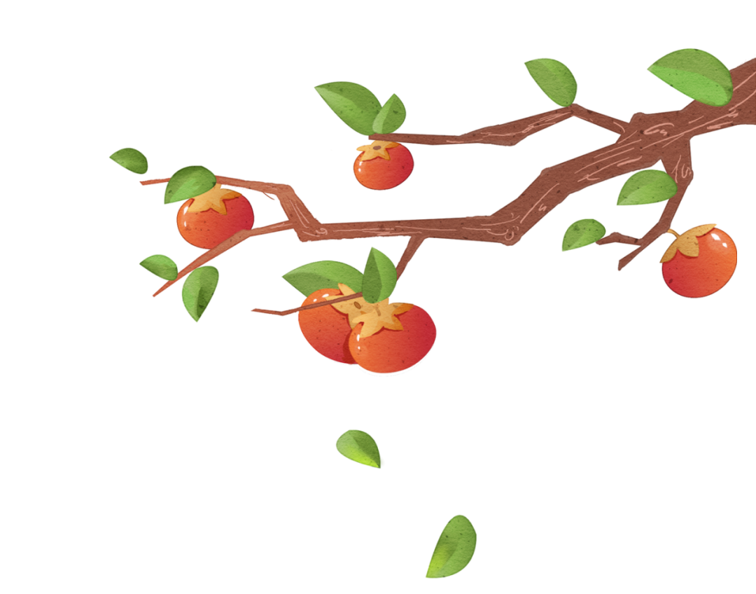 手绘秋天的果实之柿子图片素材免费下载 - 觅知网