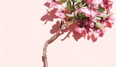 发现生活美好，拥抱生命阳光