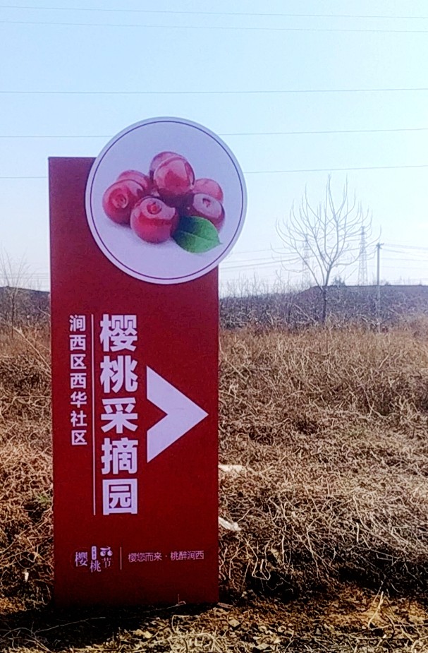 推荐路线:焦村镇苹果公园入口附近沿涧西区西华社区樱桃采摘园导视牌