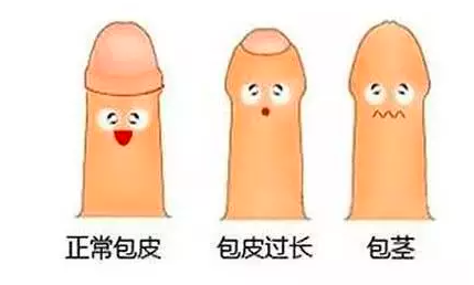 微信截图_20210706194233.png