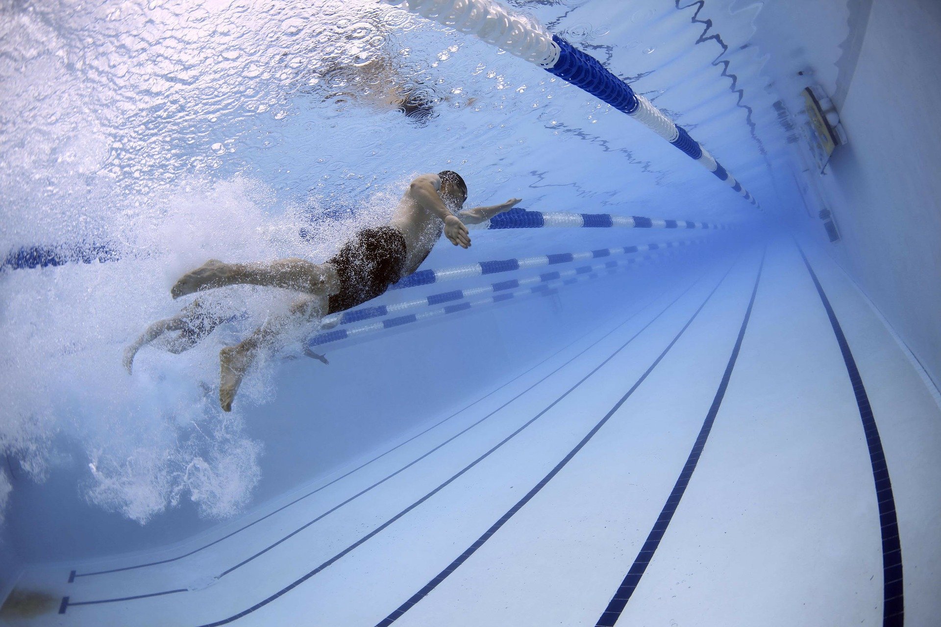 swimmers-79592_1920 (1).jpg
