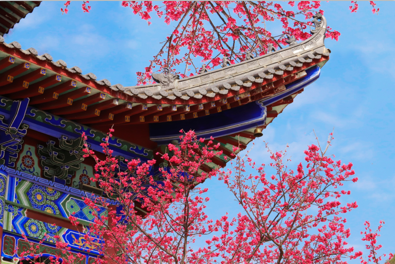 微信图片_20210125185312.png 微信图片_20210125185312.png