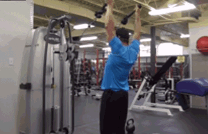 前锯肌上举.gif
