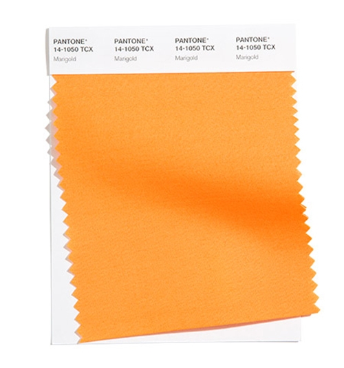 pantone-fashion-color-trend-report-new-york-spring-summer-2021-article-swatches-marigold.jpg