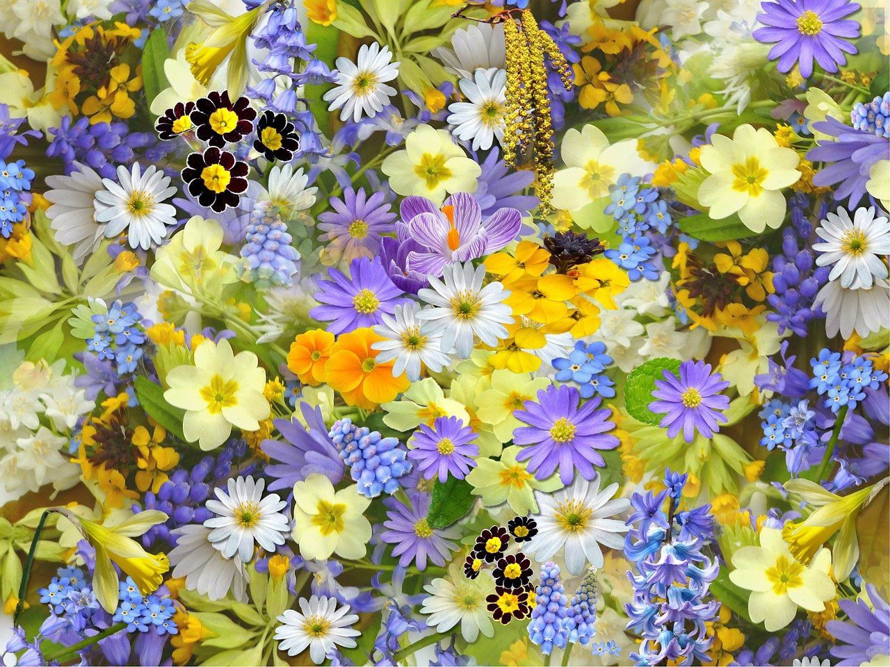 spring-flowers-110671_1280.jpg