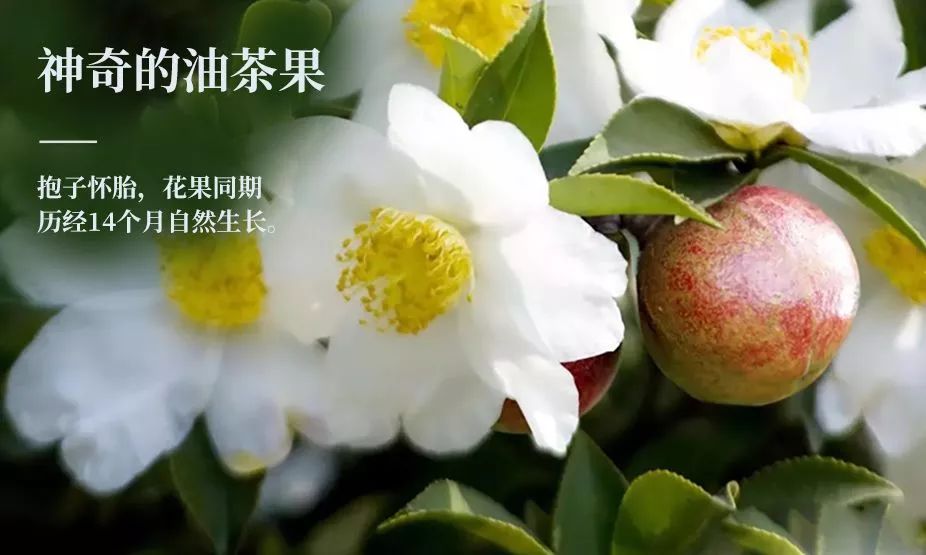 微信图片_20190328103505.jpg
