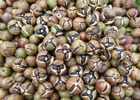 src=http_%2F%2Fcbu01.alicdn.com%2Fimg%2Fibank%2F2016%2F479%2F049%2F3555940974_1257973920.jpg&refer=http_%2F%2Fcbu01.alicdn.jpg src=http_%2F%2Fcbu01.alicdn.com%2Fimg%2Fibank%2F2016%2F479%2F049%2F3555940974_1257973920.jpg&refer=http_%2F%2Fcbu01.alicdn.jpg