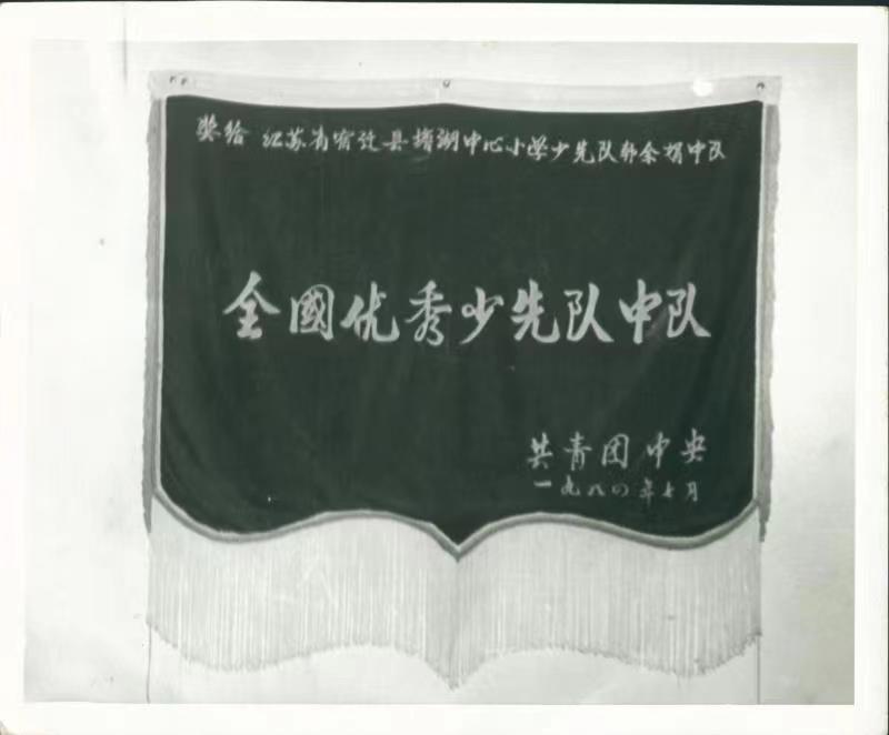 共青团中央-优秀少先队.jpg