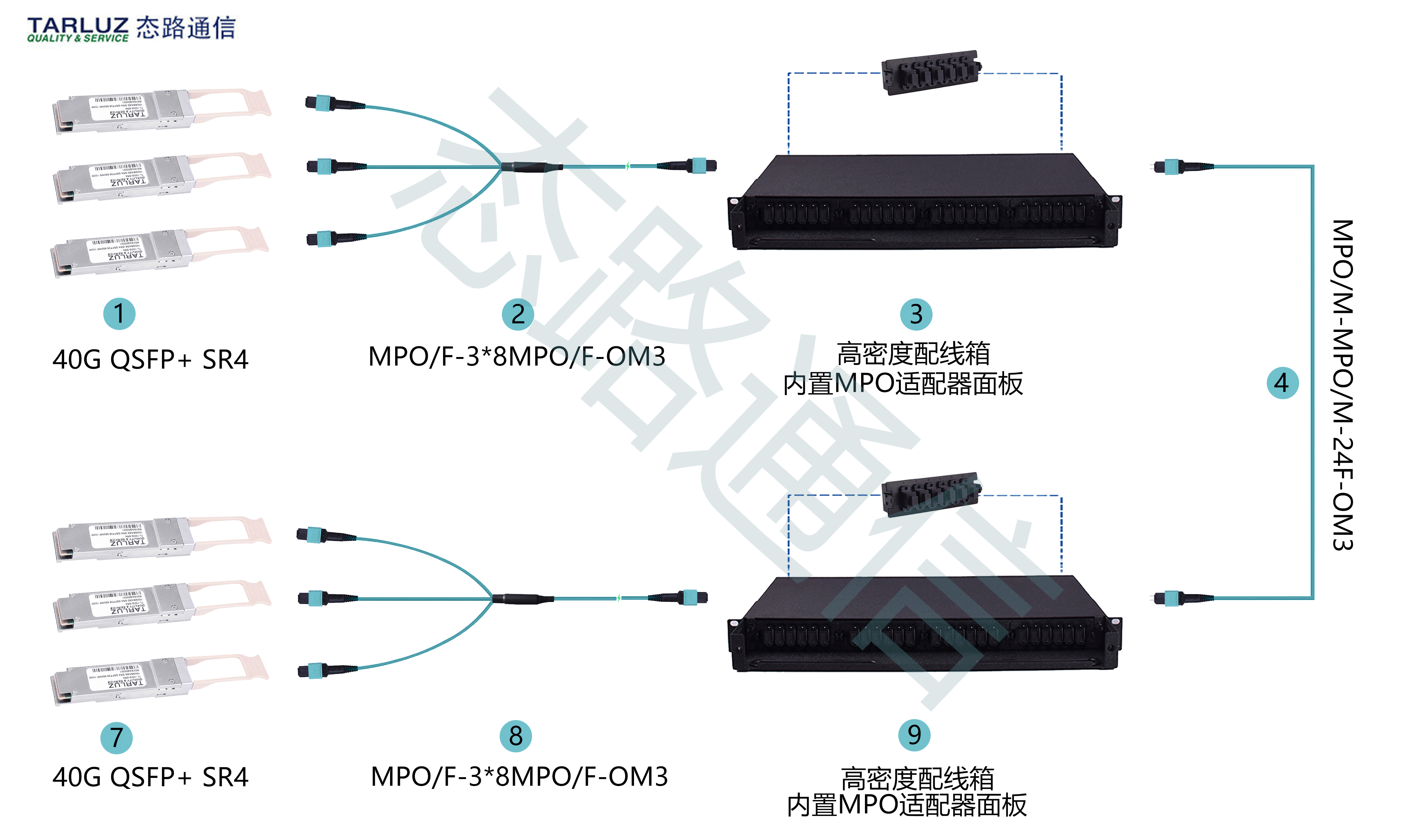 MPO-3-MPO预端接连接图-.gif