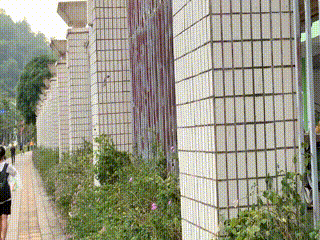 希区柯克.gif