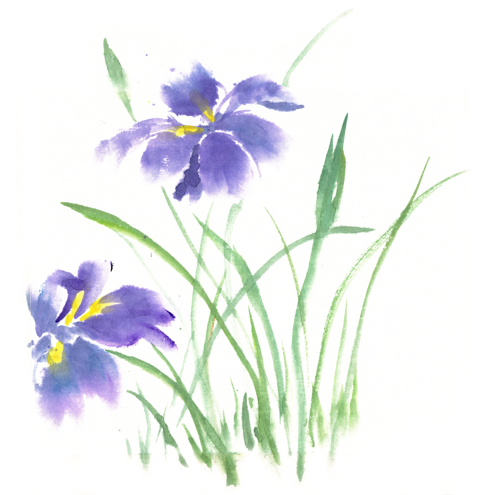 荣荣醉里吴音暗香菖蒲端午与复仇之剑