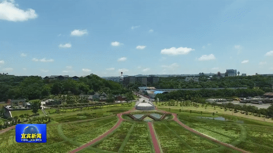 五粮液环保生态湿地：让清水回归自然（视频）[00-01-24--00-01-35].gif