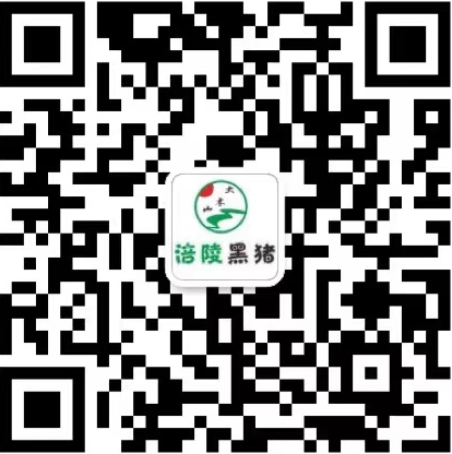 涪陵黑猪.png