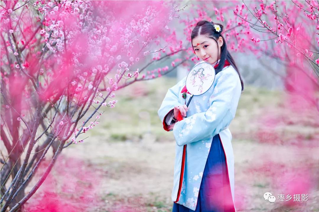 网红网红看这里内黄豆公赏花去