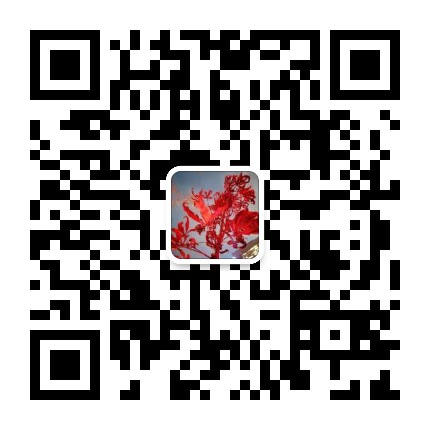 43e96f9770e1f8fffcf12dcf7d29498.jpg 43e96f9770e1f8fffcf12dcf7d29498.jpg