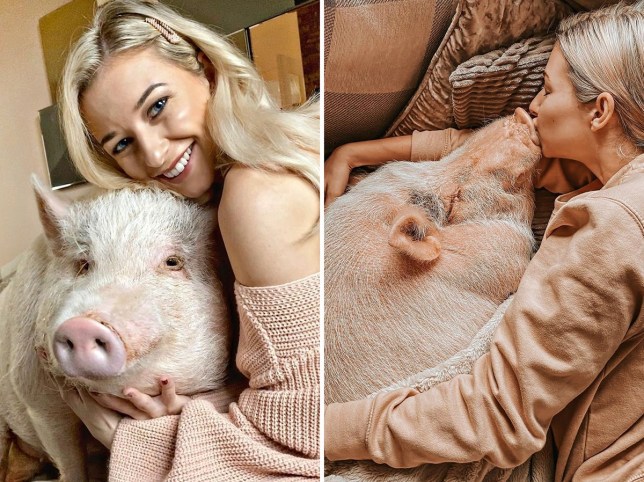 Pig-obsessed-influencer-treats-her-80kg-porker-like-a-child-–-with-cuddles-on-the-sofa-INSIDE-the-house-a-special-diet-and-kisses2-420b.jpg