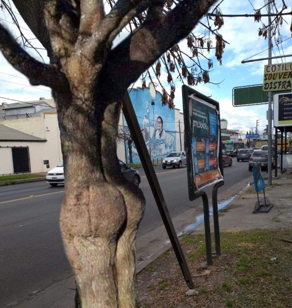 El73dYWU0AAbUSo.jpg