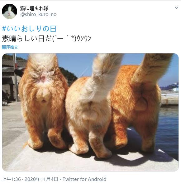 微信截图_20201105134842.jpg