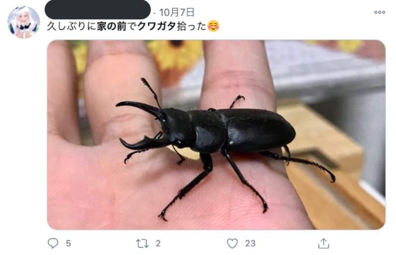 qJeRoaadlqecqqSZ.jpg