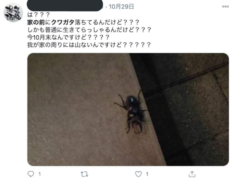 qJeRoaadlqecqqSa.jpg