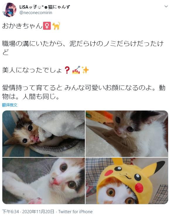 微信截图_20201205141208.jpg
