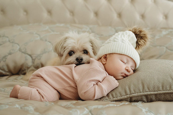 wholesome-dogs-with-kids-206-600fc27e6fc94__700.jpg