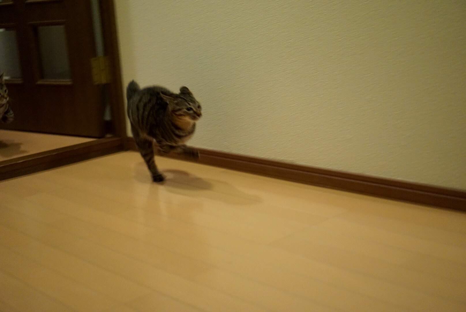 EP3EDf_U0AEC65L.jpg