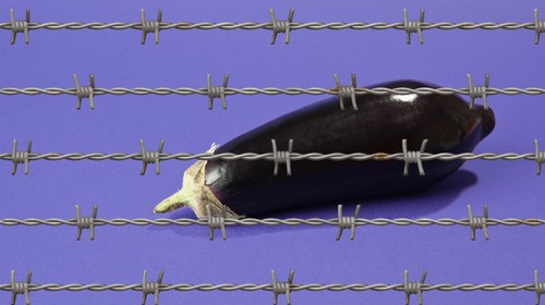 1611783272462-eggplantjail.jpeg