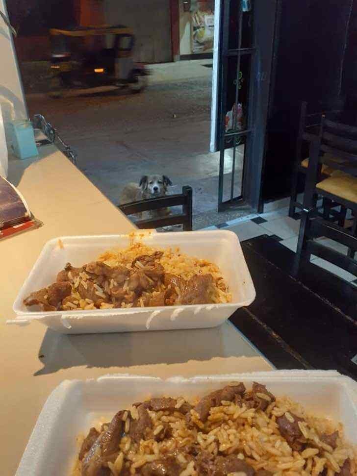 dog-restaurant-menu-peru-01.jpg