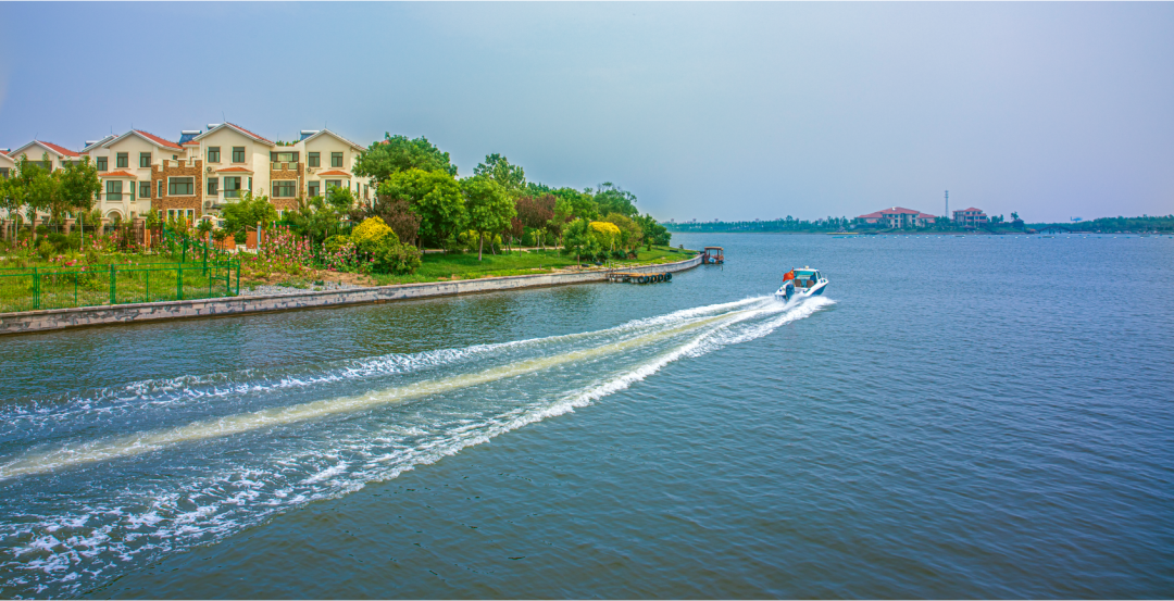 不出市开启东营滨海之旅