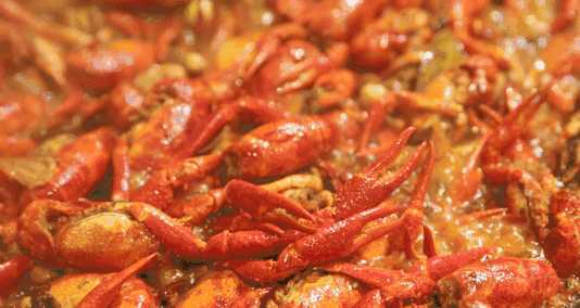 timg (1).gif timg (1).gif