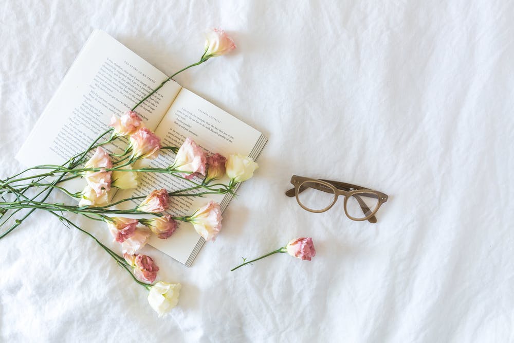 圖書(shū), 寵, 放鬆 的 免費(fèi)素材圖片