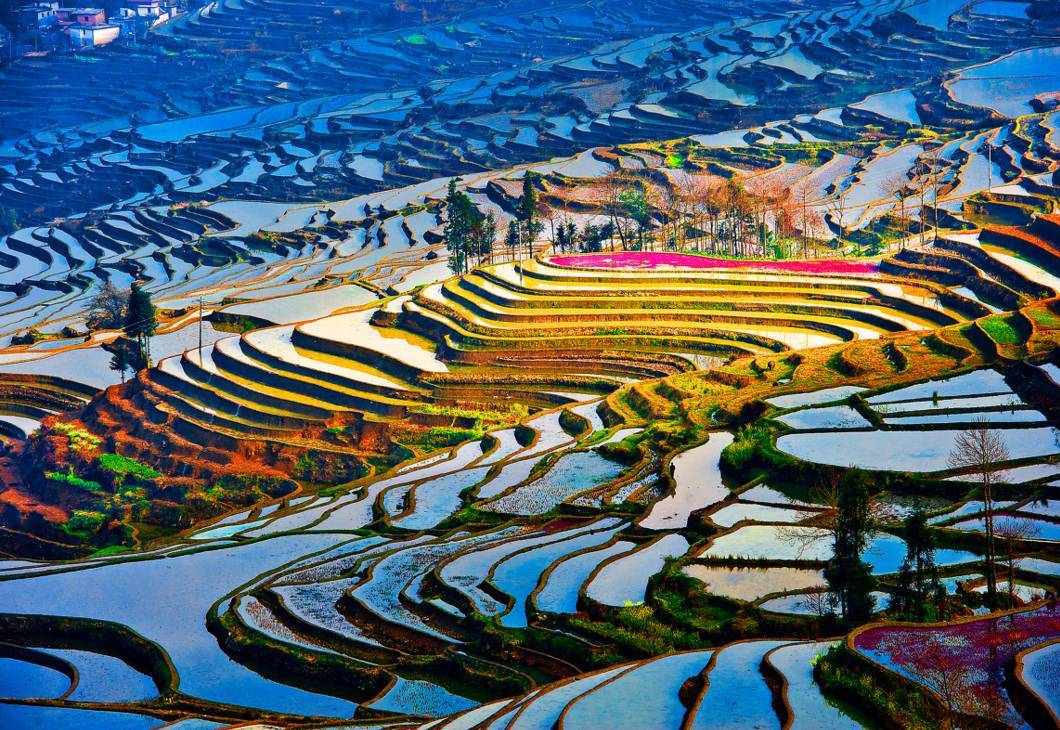 云南云陽梯田.jpeg