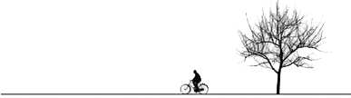 旅游景點樹自行車分割線