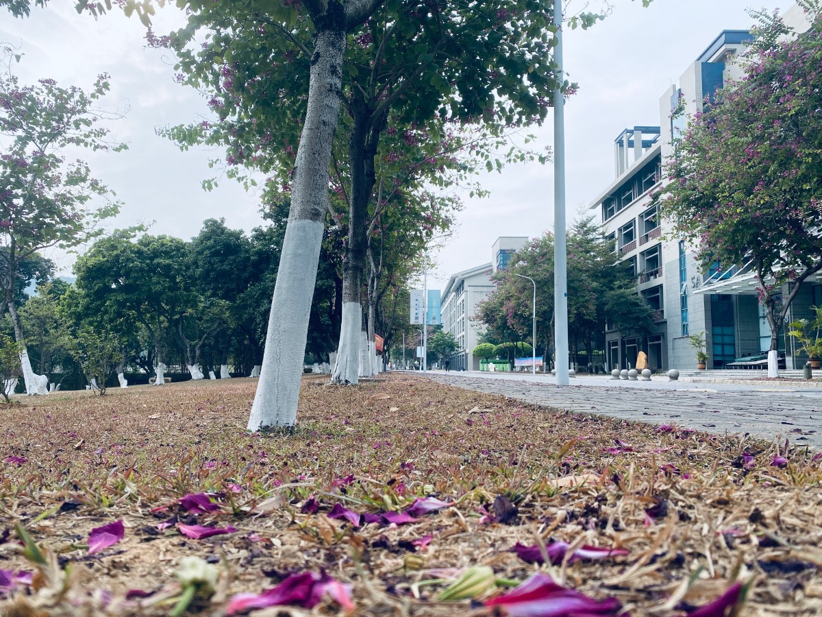 微信圖片_20201212152117.jpg 微信圖片_20201212152117.jpg