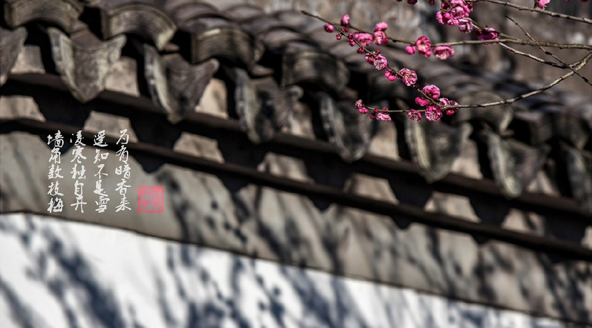 e587cbfff5952ada887b0723fa50bd2.jpg e587cbfff5952ada887b0723fa50bd2.jpg