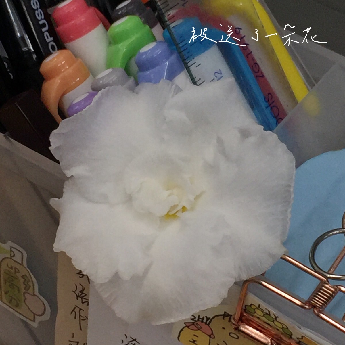 微信圖片_20201223145356.jpg 微信圖片_20201223145356.jpg