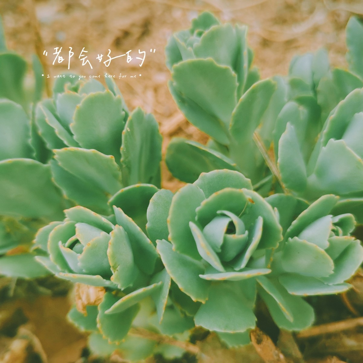 參賽2.jpg 參賽2.jpg