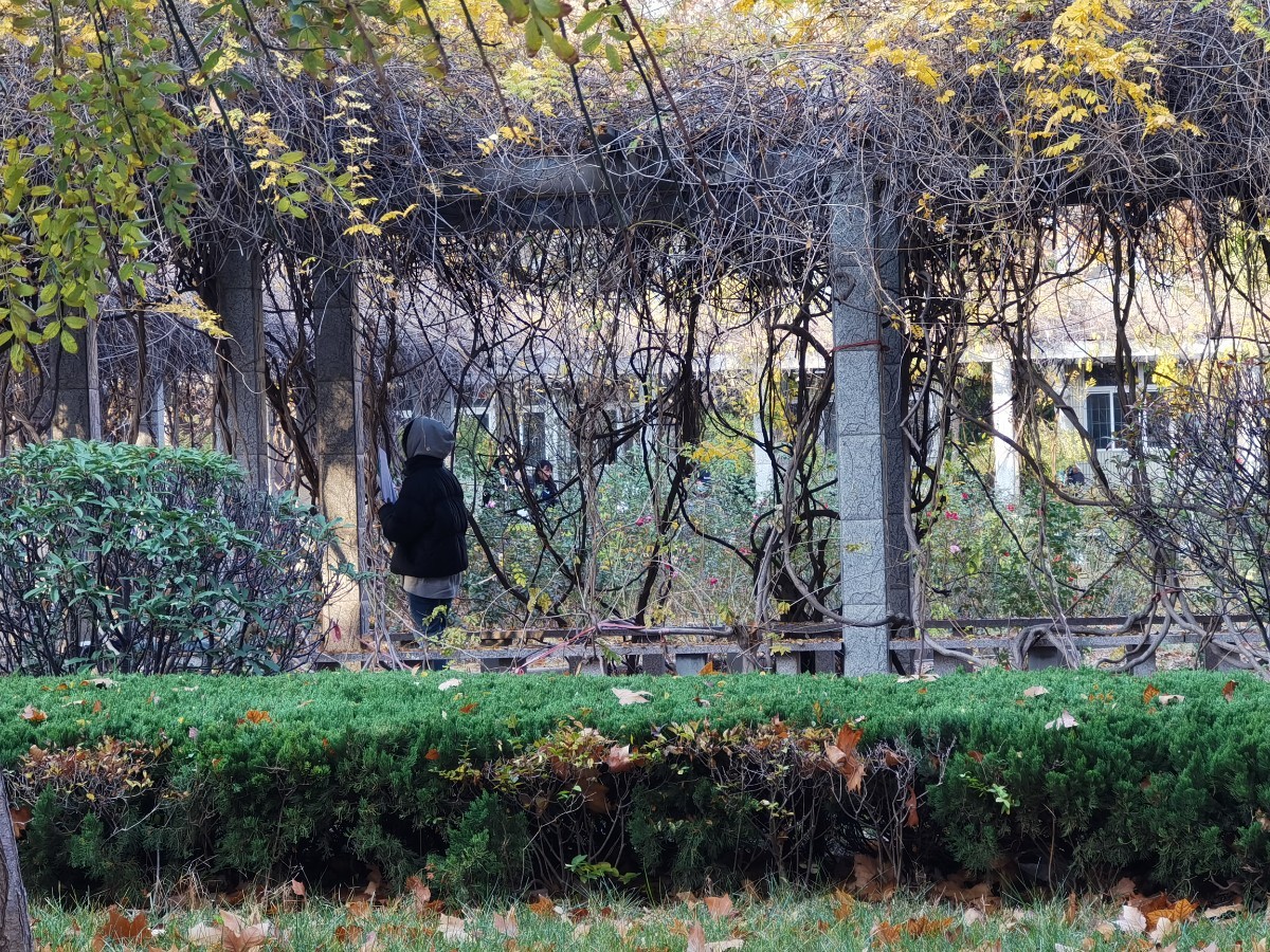 IMG_20201119_153544.jpg IMG_20201119_153544.jpg