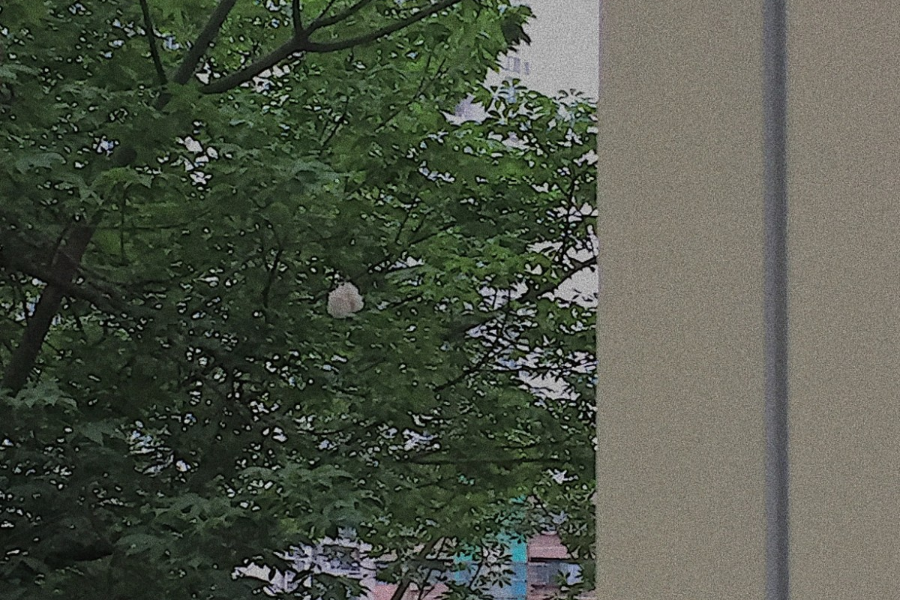 微信圖片_20201223145252.jpg 微信圖片_20201223145252.jpg