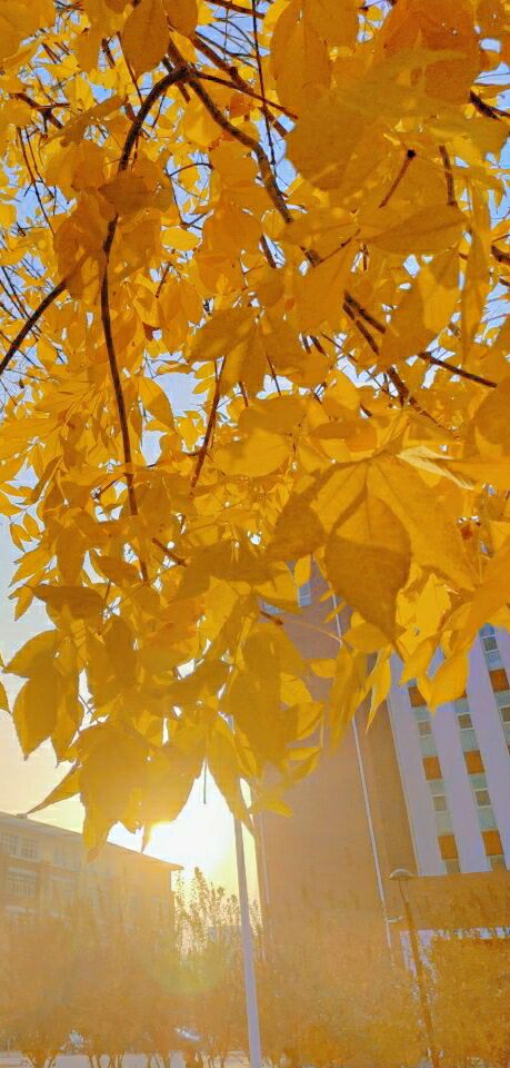 QQ圖片20201204113921.jpg QQ圖片20201204113921.jpg