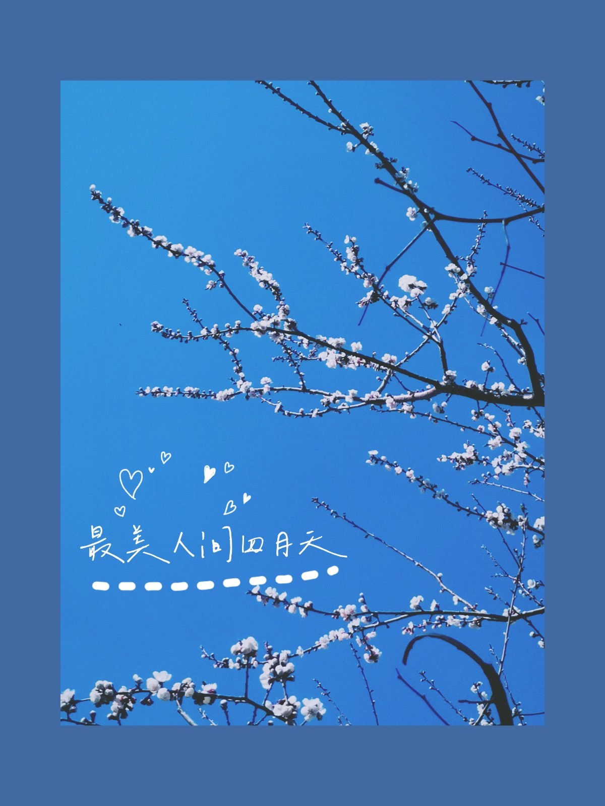 參賽6.jpg 參賽6.jpg