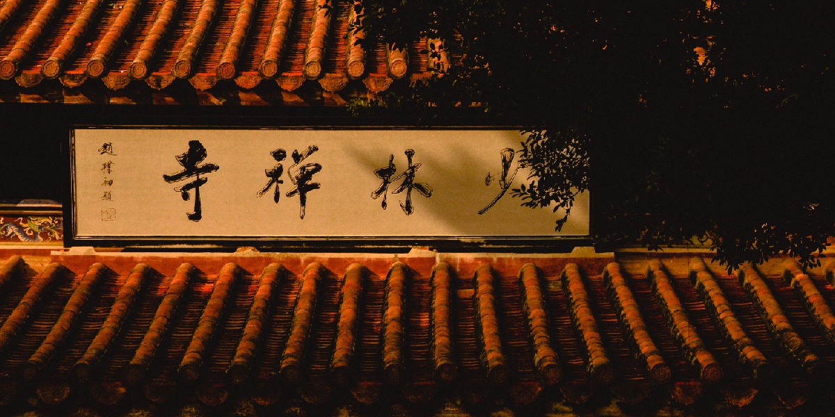 DSC_0331.JPG DSC_0331.JPG